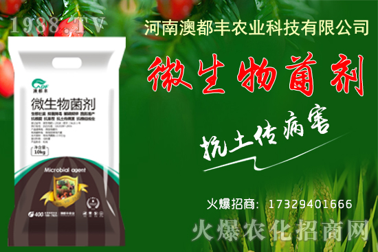 玉米穗期發(fā)育特點有哪些？玉米穗期田間管理要點！