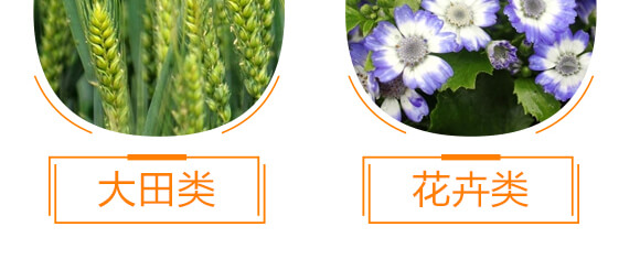 30%苯甲丙環(huán)唑-農(nóng)本樂-賽諾_09