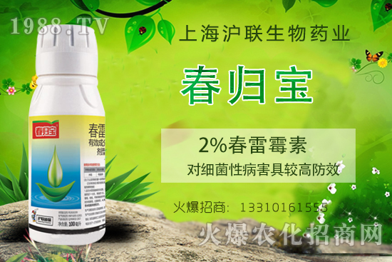     春雷霉素能防治什么病害？春雷霉素的作用機理及使用注意事項！