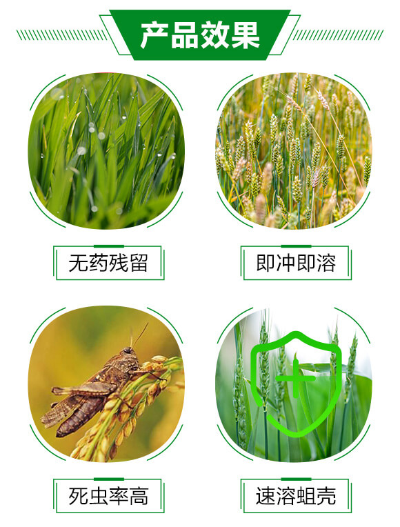 蛆蟲(chóng)蝕殼劑-斗蛆-強(qiáng)農(nóng)生物_03