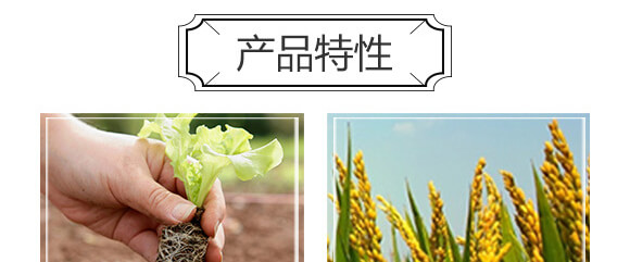 旱可豐（抗旱保水控釋生態(tài)肥+植物營(yíng)養(yǎng)餐）_04