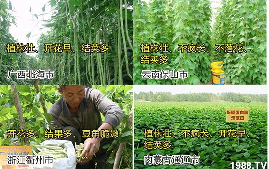 水溶肥市場(chǎng)大變革??？海藻精、魚蛋白將被它代替！1000多用戶鼎力推薦！