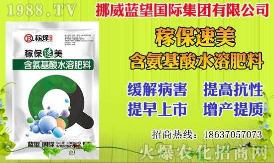 小麥價格多少錢一斤？2020年小麥價格行情及走勢！