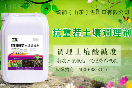 板栗種植怎么選苗子？板栗種植管理要點(diǎn)！