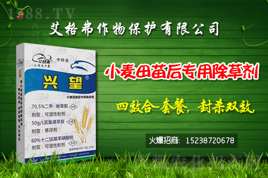 2021年4月19日大豆除草劑價格行情