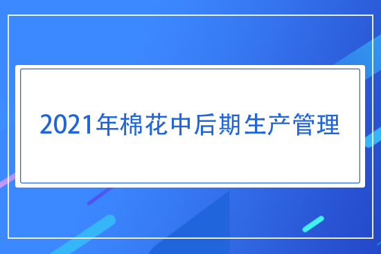 2021年棉花中后期生產(chǎn)管理指導(dǎo)意見