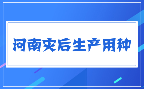 河南災后生產用種