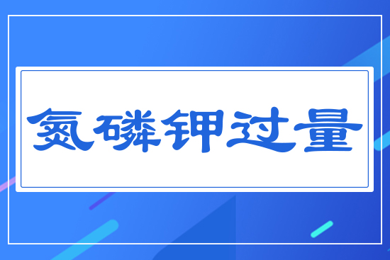 氮磷鉀過(guò)量