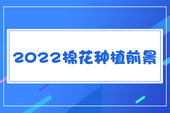 棉花種植