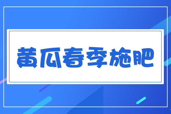 黃瓜春季施肥