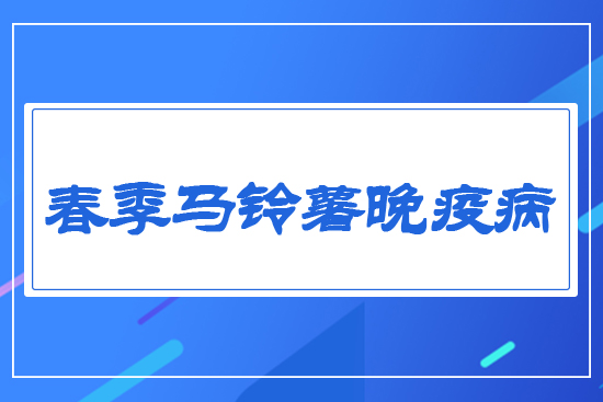 春季馬鈴薯晚疫病