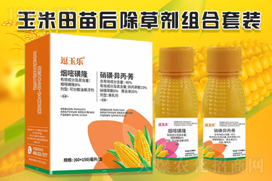 玉米除草效果差，什么原因？玉米除草劑怎么選？