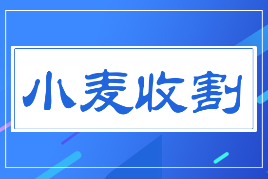 小麥?zhǔn)崭? style=