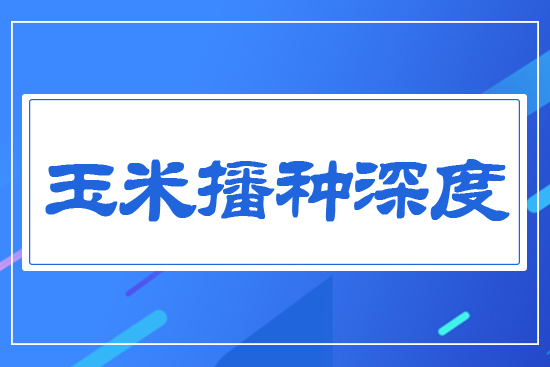 玉米播種深度