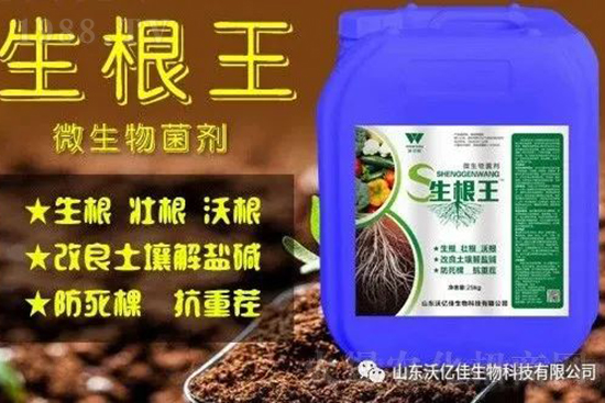 作物重茬、爛根死棵嚴重啥原因？如何改善這些難題？