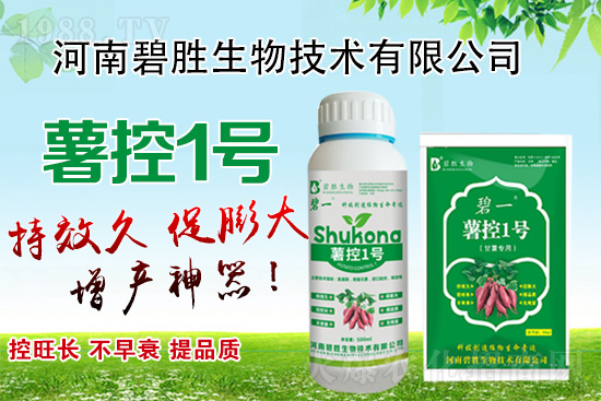 紅薯如何控旺？紅薯控旺有哪些措施？控旺產(chǎn)品怎么選？