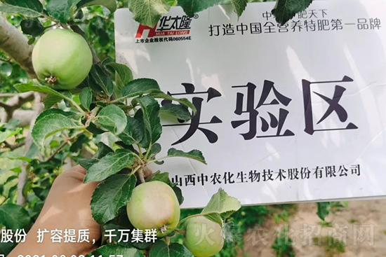     蘋果果個(gè)小是什么原因？解決對(duì)策有哪些？