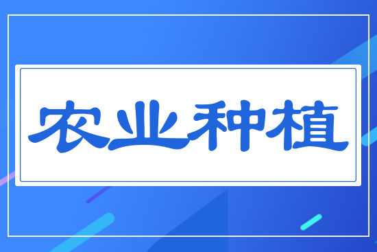 農(nóng)業(yè)種植