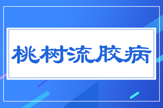 桃樹流膠病