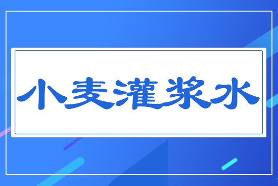 小麥灌漿水