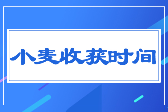 小麥?zhǔn)斋@時(shí)間