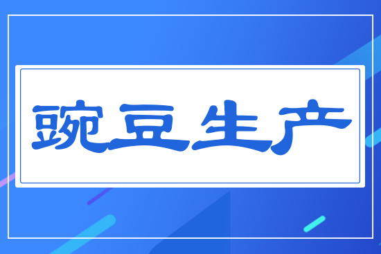 豌豆生產(chǎn)