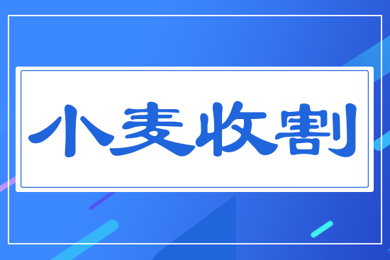 小麥?zhǔn)崭? style=