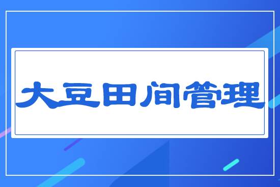 大豆田間管理