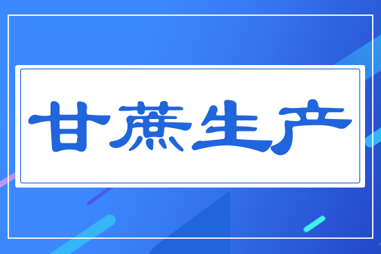 甘蔗生產(chǎn)