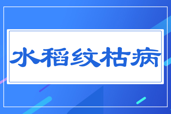 水稻紋枯病