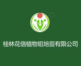 桂林花信植物化工有限責(zé)任公司