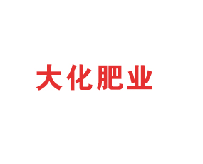 石家莊大化肥業(yè)有限公司