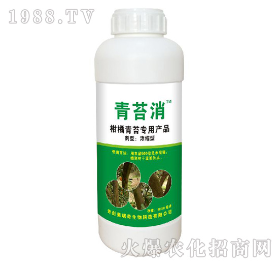 柑橘樹青苔專用產(chǎn)品-青苔消-奧瑞奇