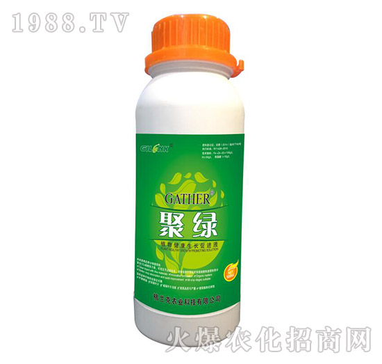 ۾G-ֲ｡L(zhng)M(jn)Һ500ml-m