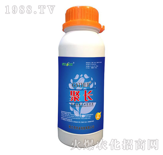 L-ֲ｡LMҺ500ml-m