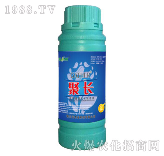 L-ֲ｡LMҺ100ml-m