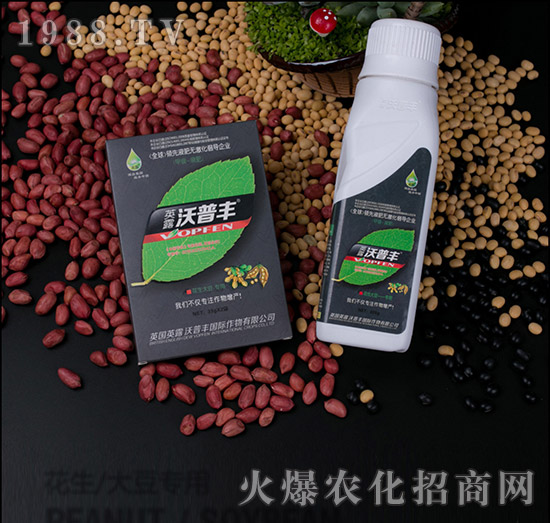 花生大豆專(zhuān)用氨基松脂菌露母液葉面肥-沃普豐