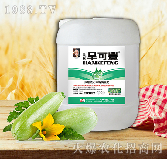 旱可豐西葫蘆10kg