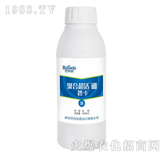 聚合超活硼（1000ml）-碧卡-巴內(nèi)達(dá)