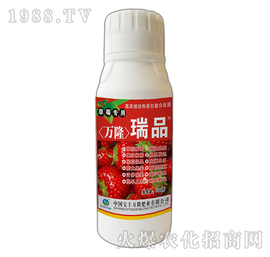 草莓專用高濃縮動(dòng)物蛋白螯合肽液-瑞品-寶豐萬隆