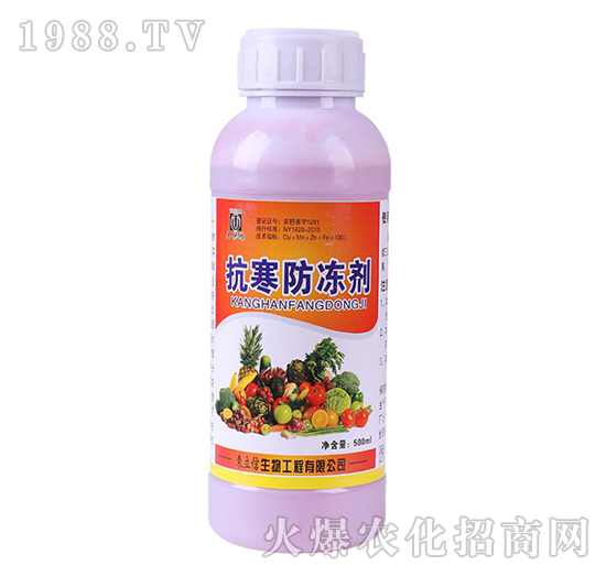 低端防凍劑（500ml）-東立信