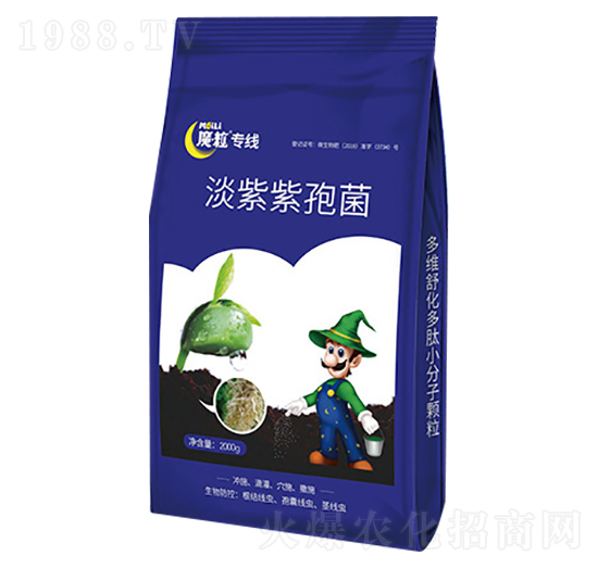 淡紫紫孢菌-魔粒專線-魔粒肥業(yè)