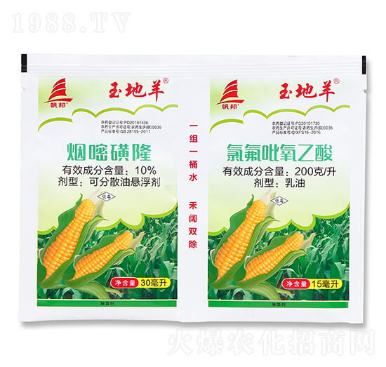 10%煙嘧磺隆+200克每升氯氟吡氧乙酸-玉地羊-喜豐收