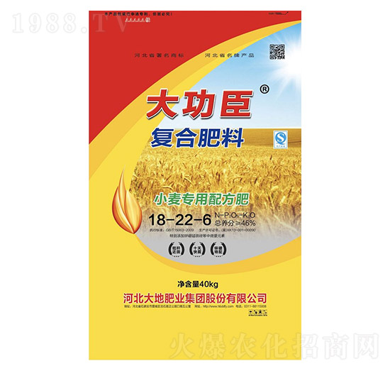 40kg小麥專用復(fù)合肥料18-22-6-大功臣-大地肥業(yè)