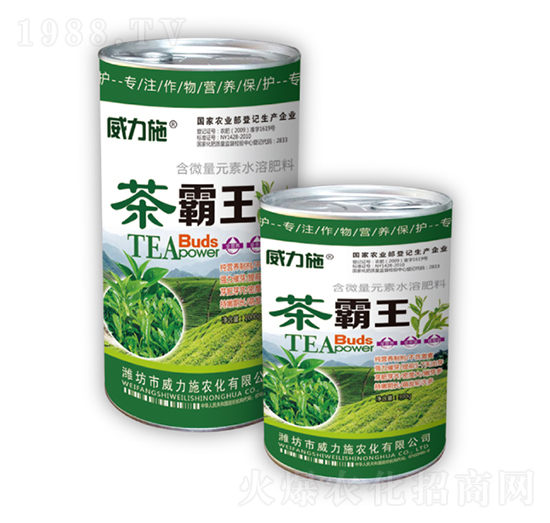 茶霸王罐裝-威力施