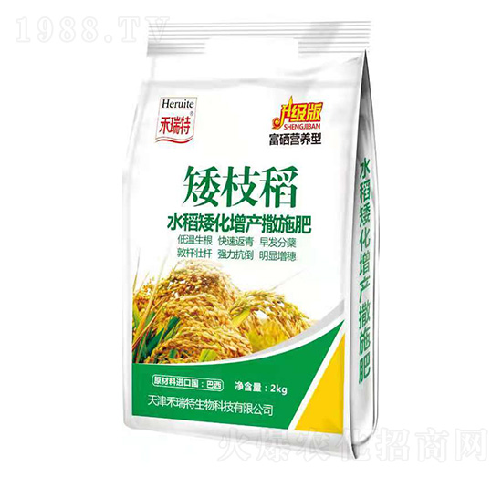 袋裝水稻矮化增產(chǎn)撒施肥-矮枝稻-禾瑞特