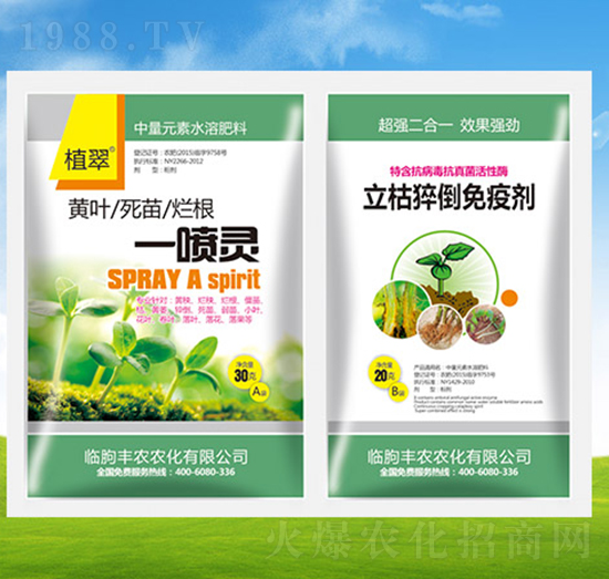 一噴綠+立枯促倒免疫劑-植翠-豐農(nóng)農(nóng)化