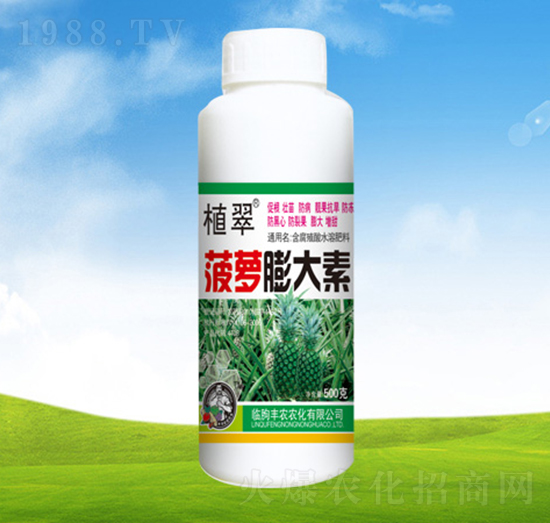 菠蘿膨大素-植翠-豐農(nóng)農(nóng)化