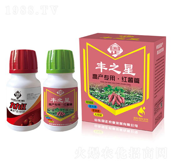 紅薯高產(chǎn)套裝-豐之星-正能量