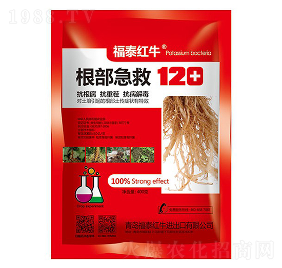 根部急救120-福泰紅牛